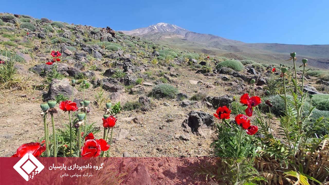 صعود موفق تیم کوهنوردی گروه داده‌پردازی پارسیان به قله دماوند